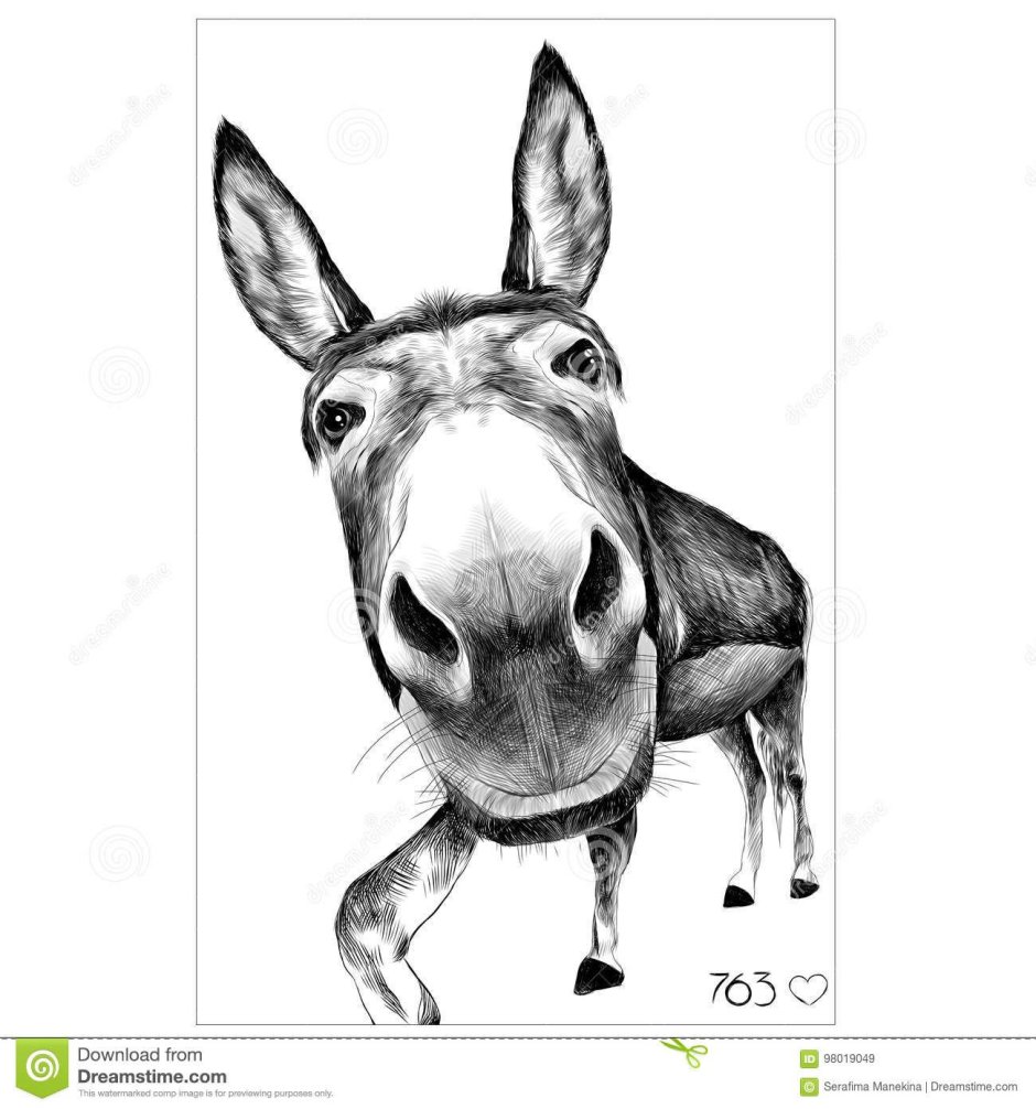 Как то раз пришел дьявол в деревню и развязал осла