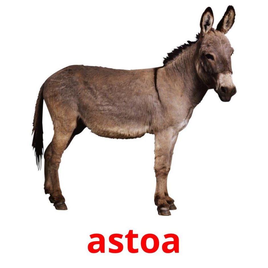 Происхождение лошади