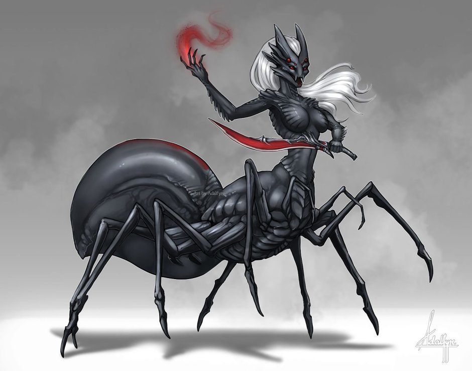 Драук (Drider)