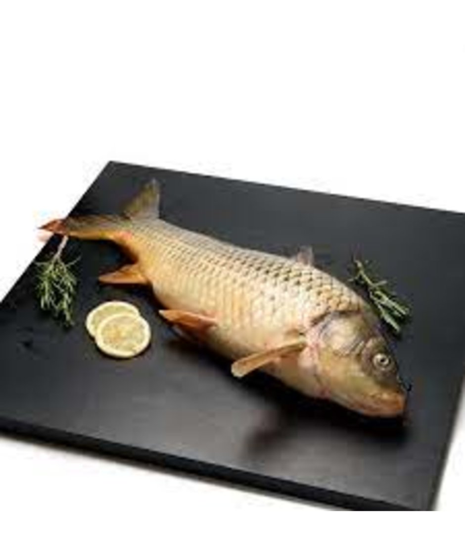 Голавль Squalius cephalus