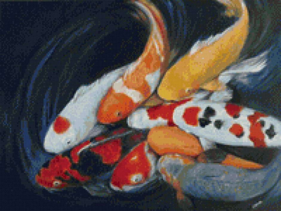 Карп кои Кохаку красный