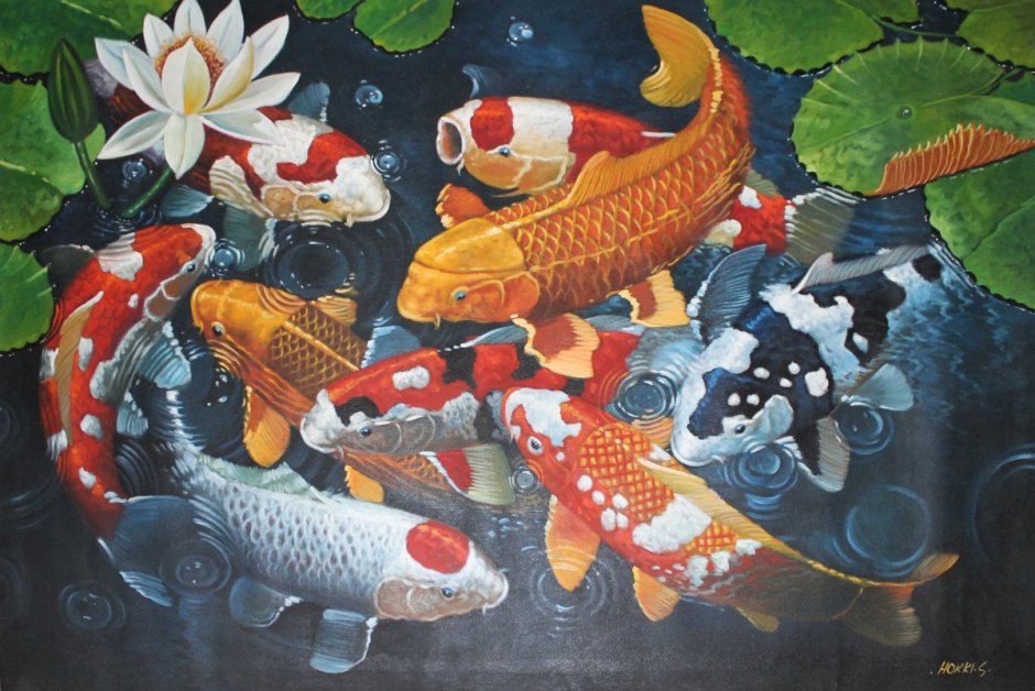Кои Асаги