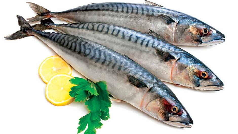 Конская скумбрия