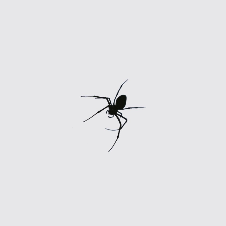 Клещи-краснотелки Trombidiidae