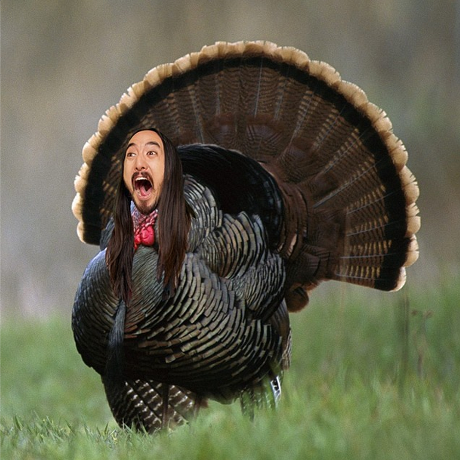 Гребень индюка