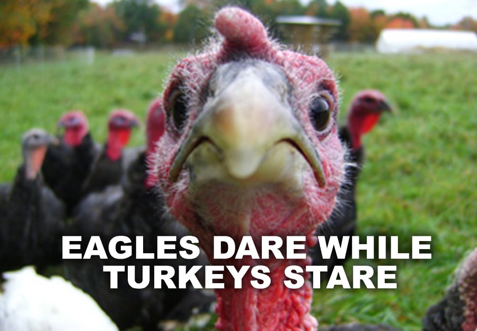 Бешеный индюк