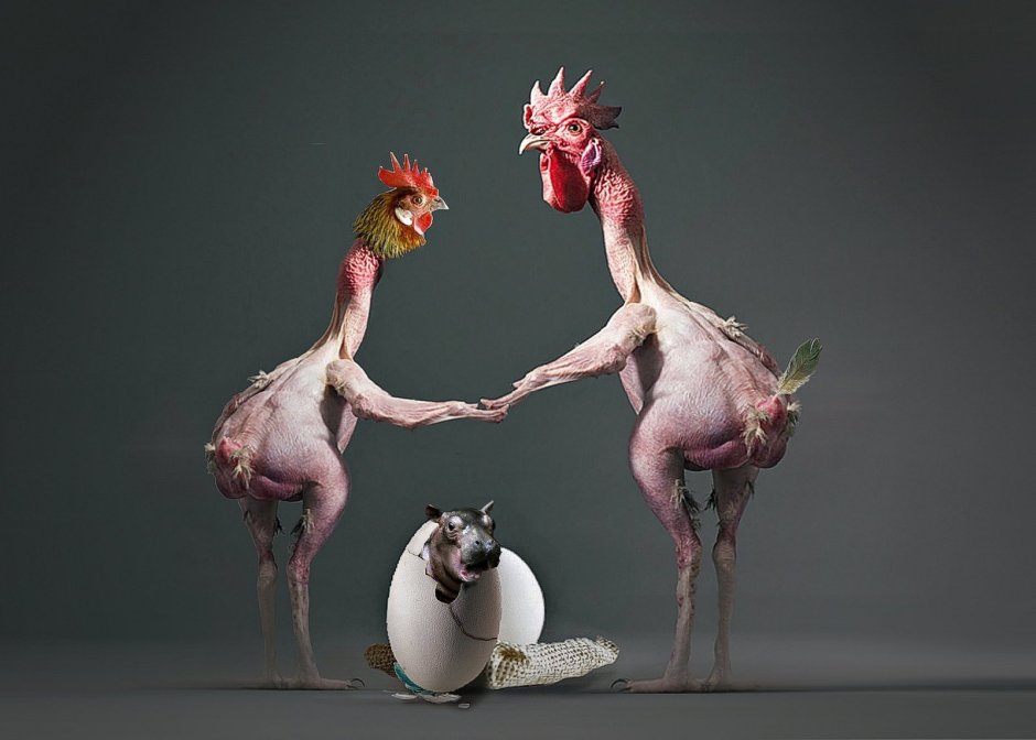 Крутой индюк