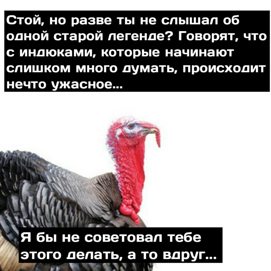 Задумчивая курица