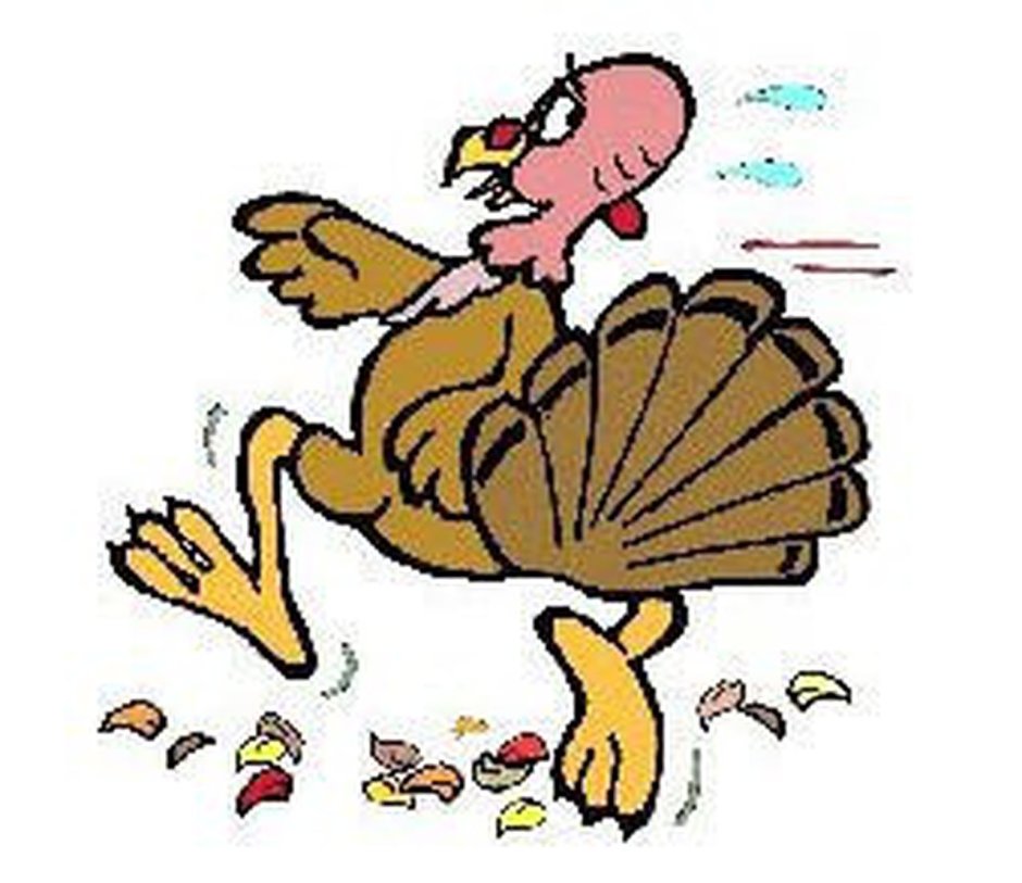 Карточка индюк для детей