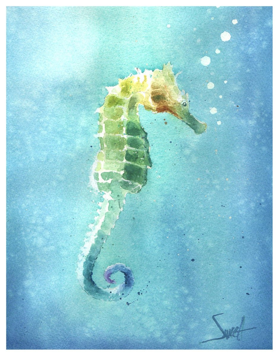 Морской конёк Seahorse аквапарк