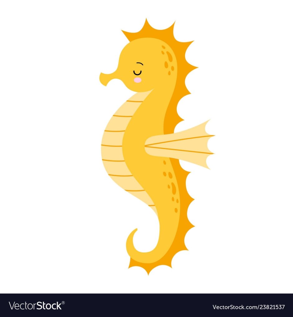 Морской конь на белом фоне