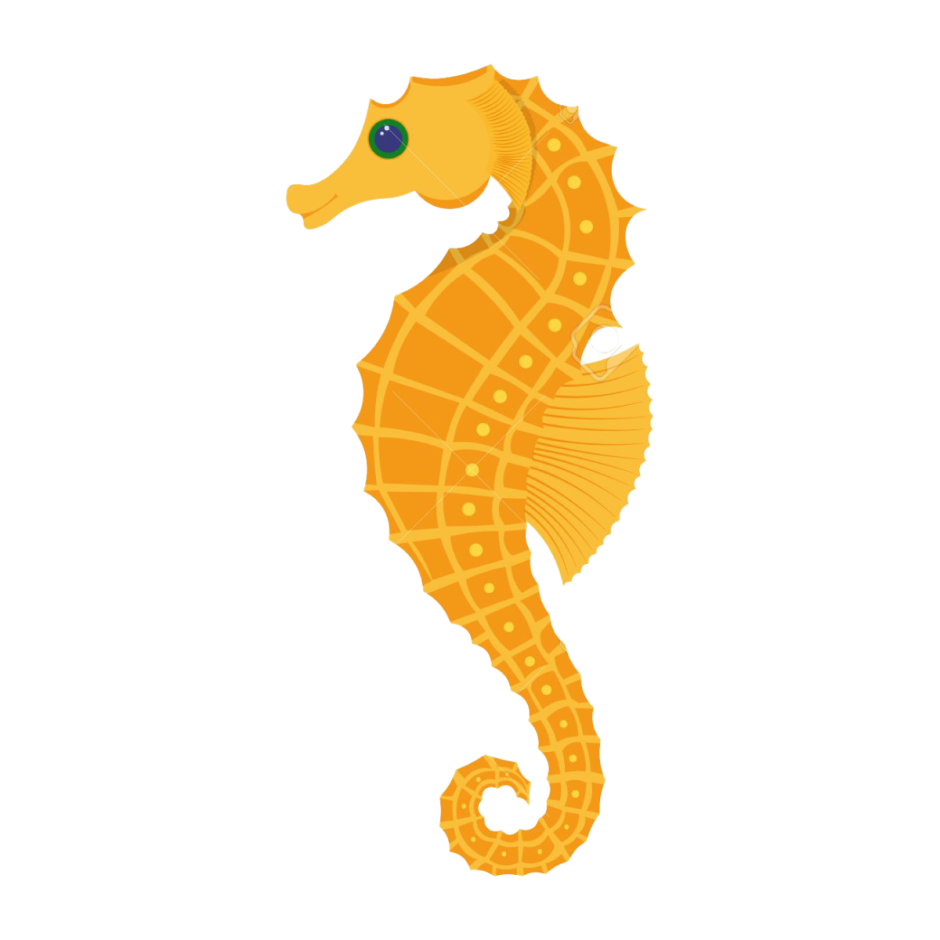 Морской конек мультяшный без фона