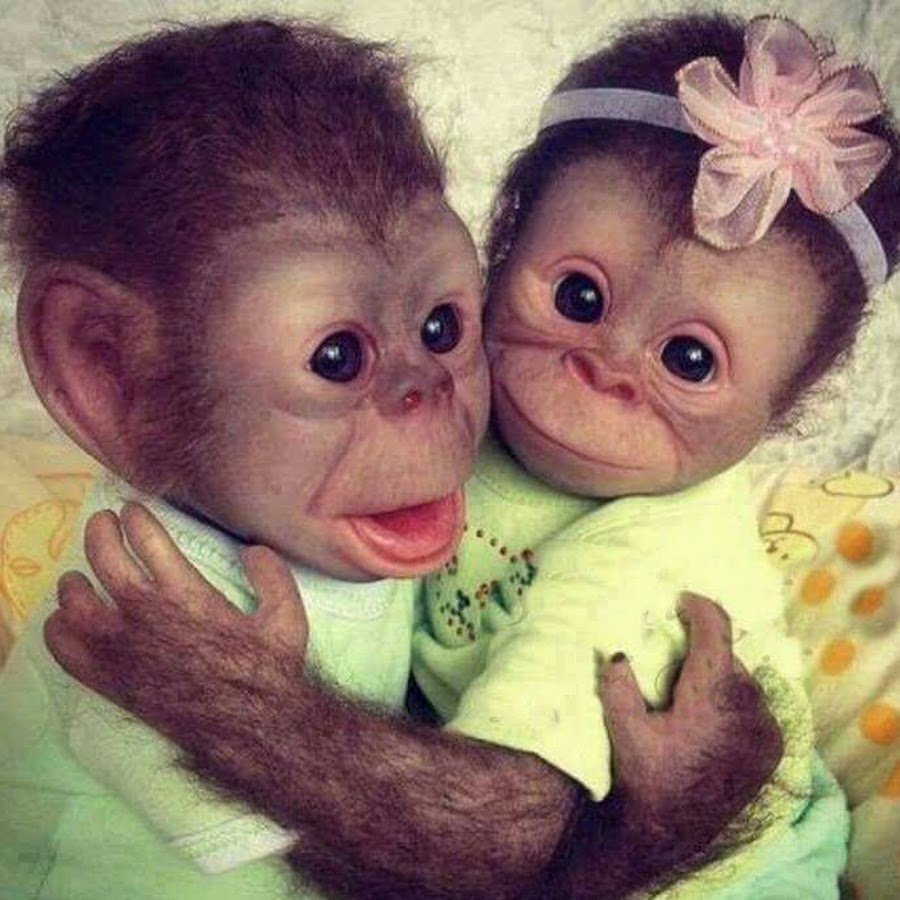 Картина три обезьяны