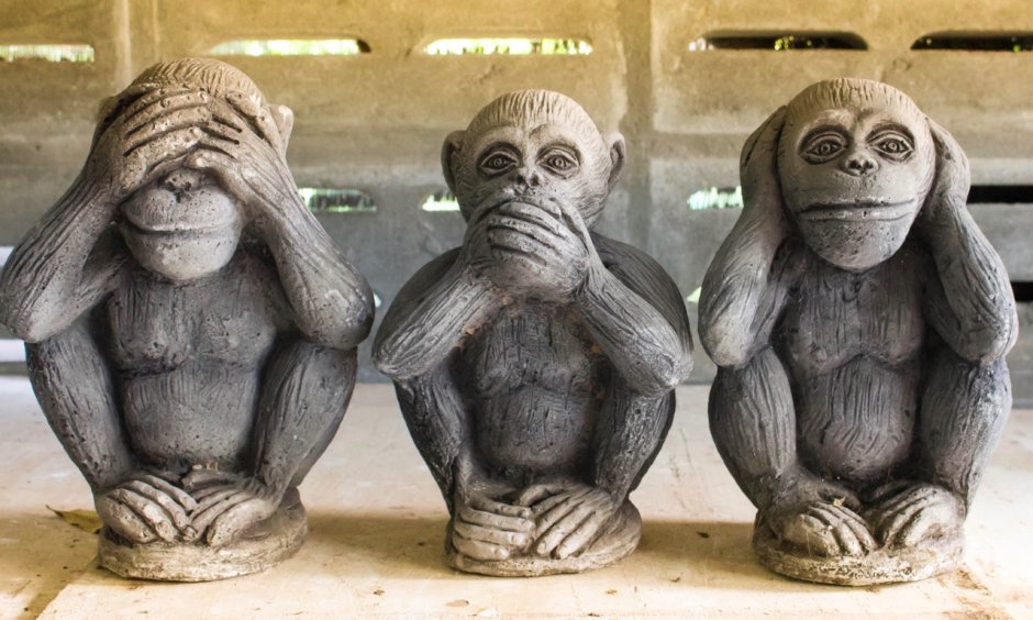 Обезьяны ничего не вижу