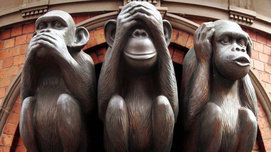 2 Обезьяны милые