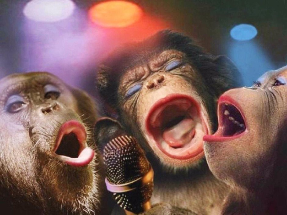 Три обезьянки статуэтки