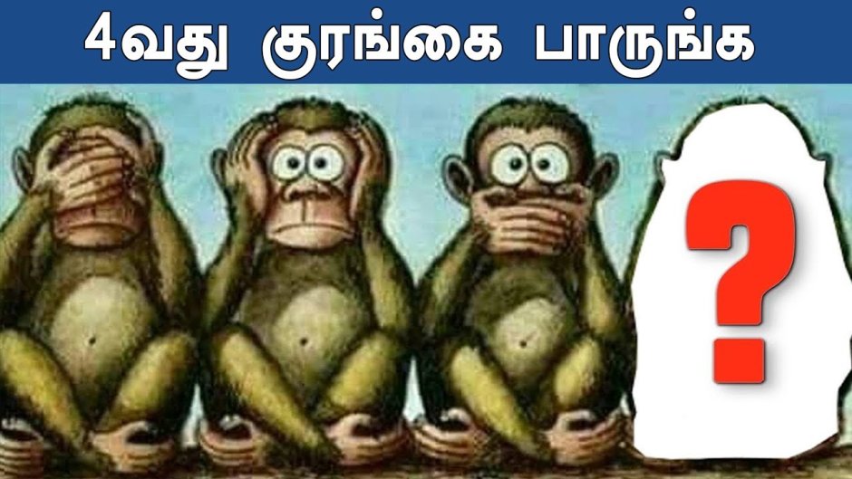 Обезьяна сидит за столом