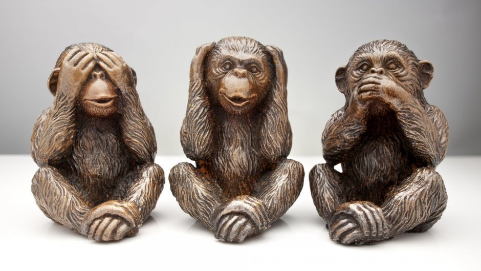 Японские макаки