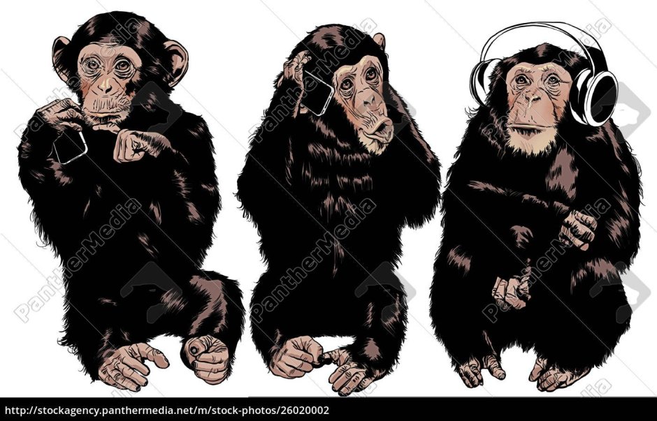 Три обезьянки тату