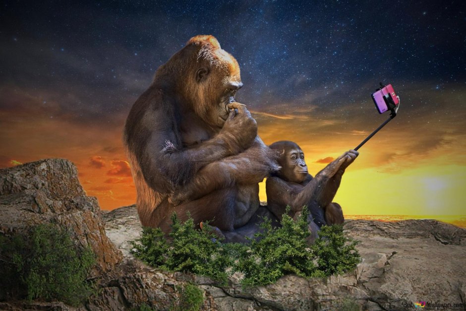 Не вижу не слышу не скажу