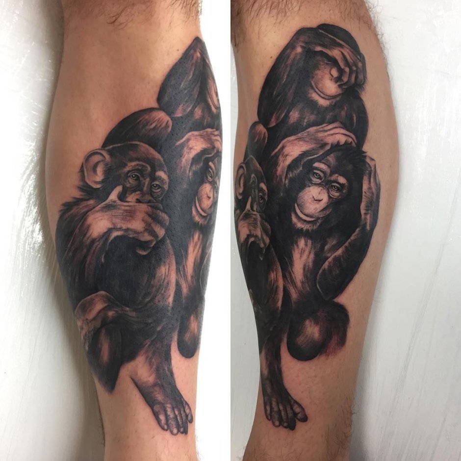 Две мартышки