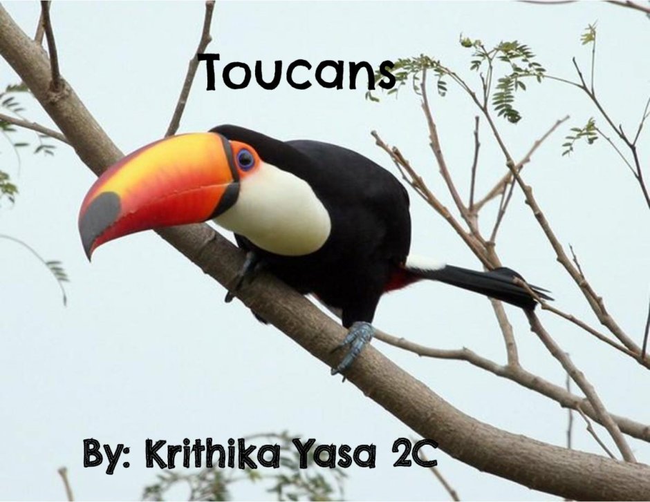 Джеймс Хаутман художник