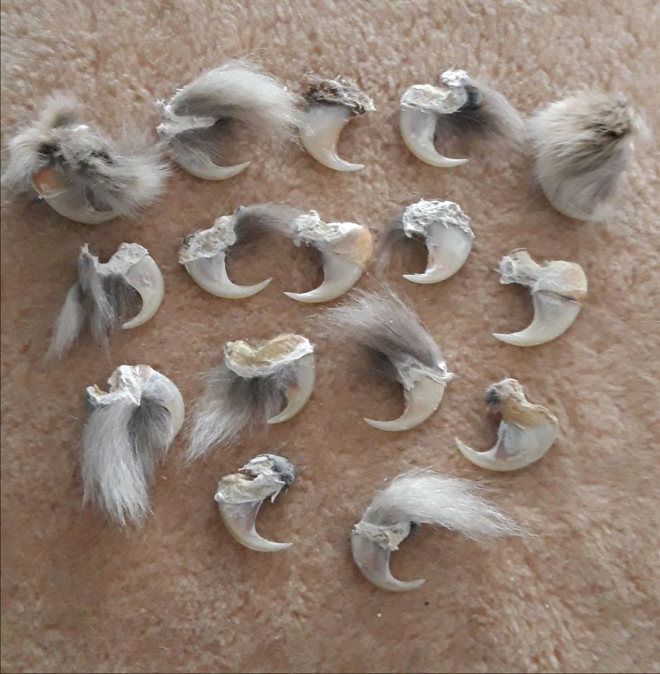 Клинок из Наруто