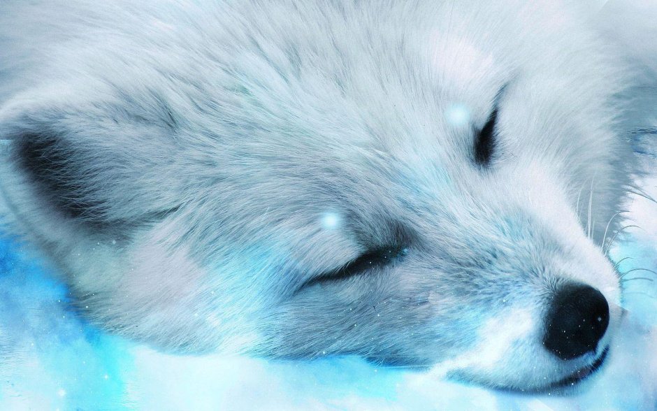 Лиса огневка Чукотка