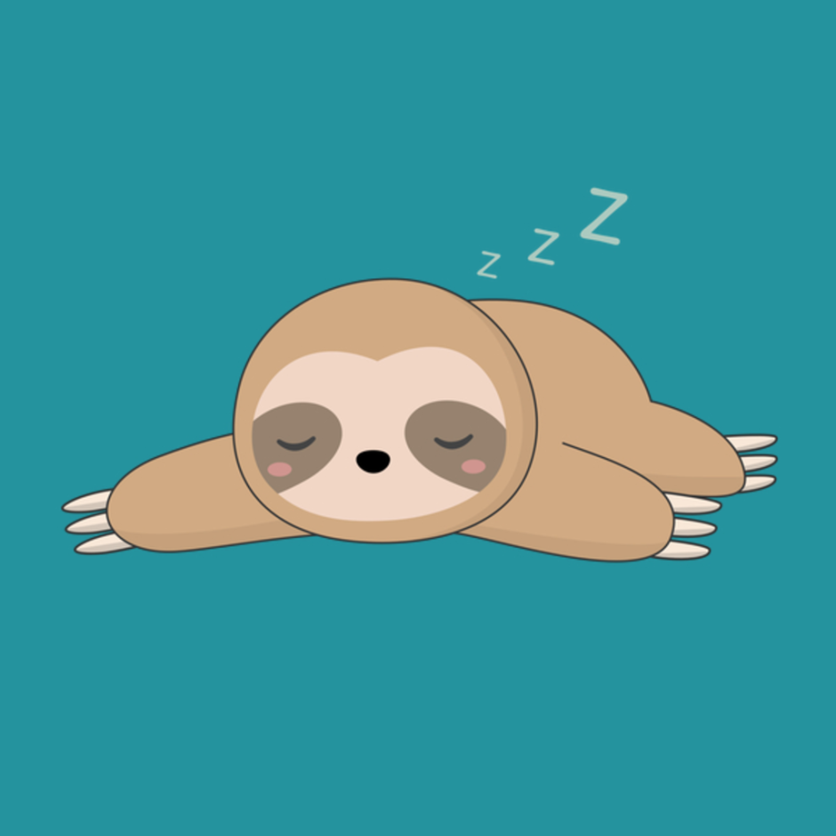 Bradypus torquatus – Ленивец ошейниковый