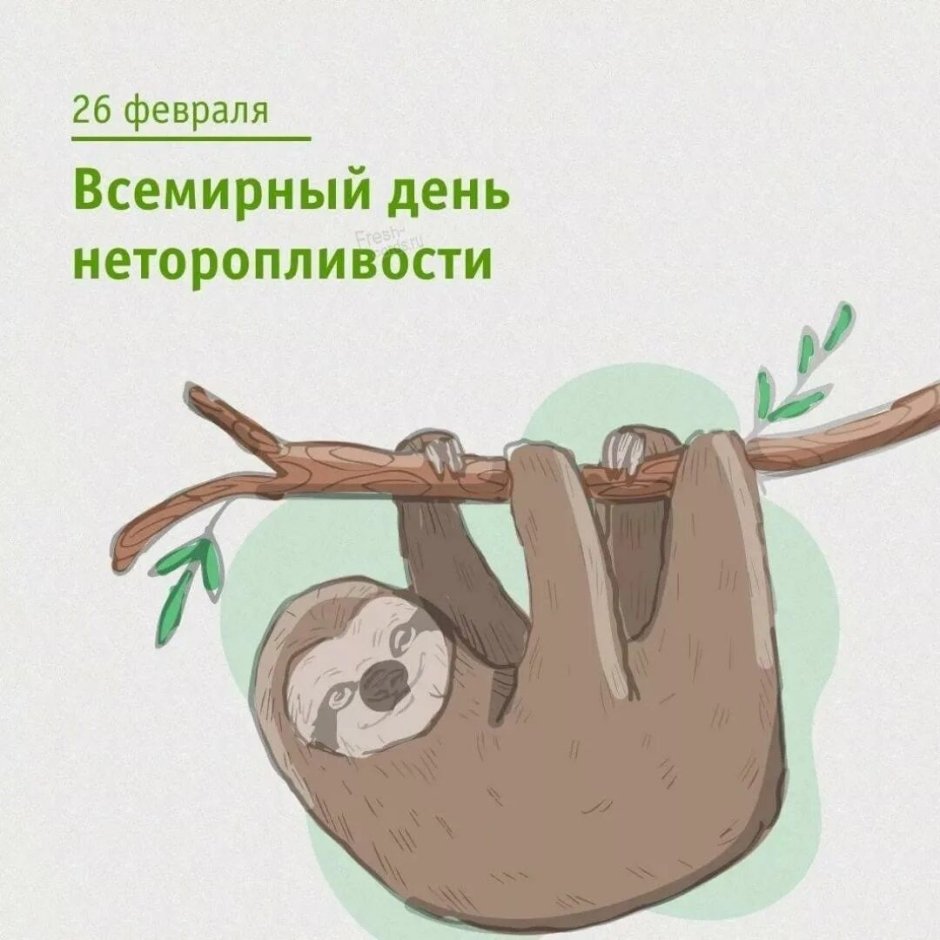 Ленивцы девиз