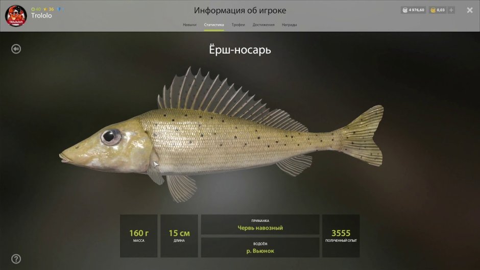 Трофейный Ерш на Комарином рр4