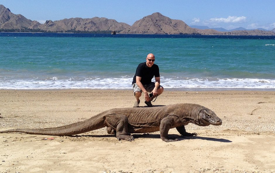 Остров Комодо Индонезия вараны