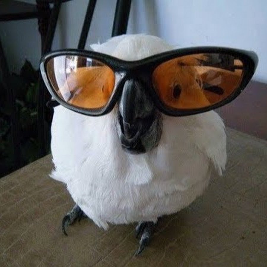 Украинская разведка мемы