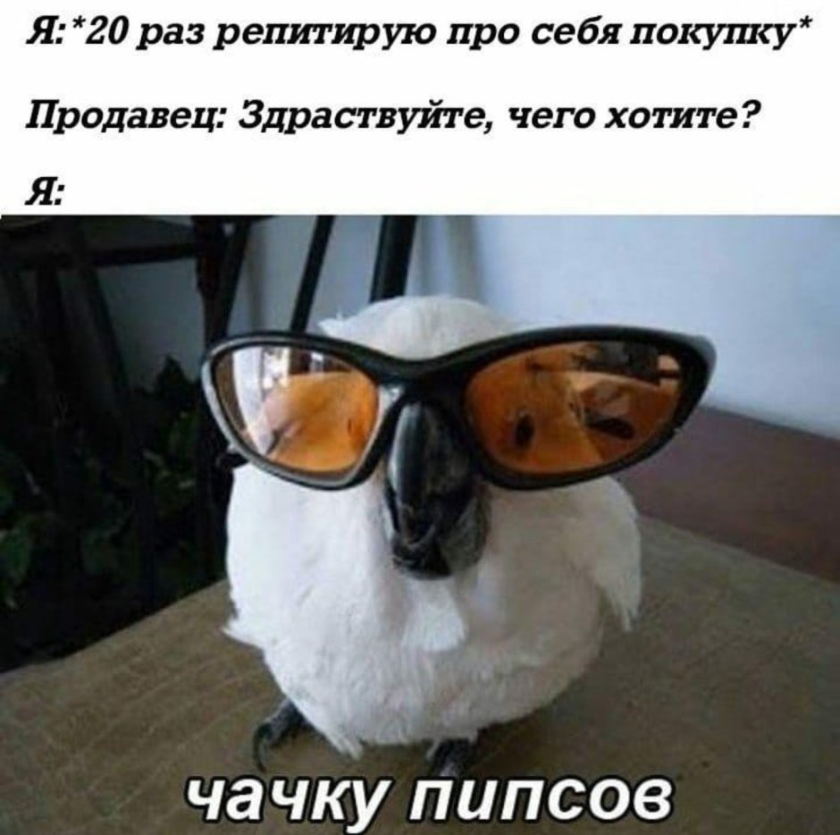Прикольные мемы с попугаями