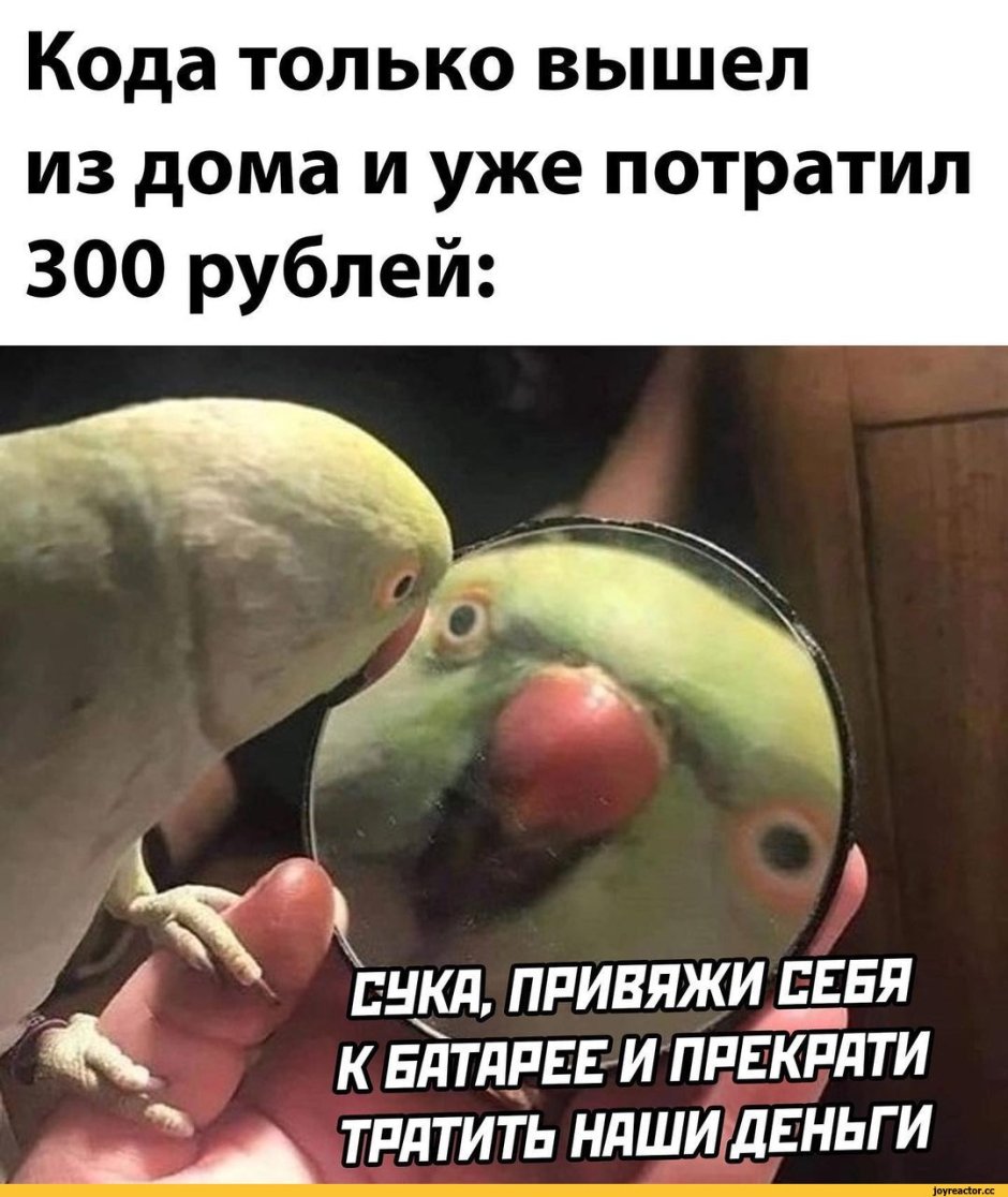 Моя последняя нервная клетка