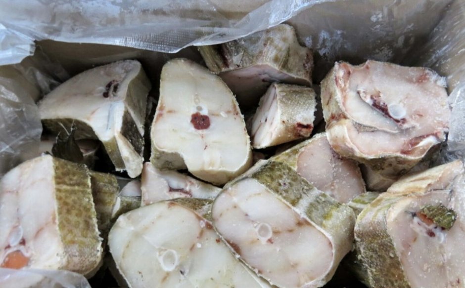 Териберка рыбалка в Баренцевом море