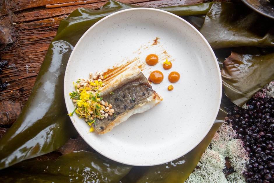 Пятнистая зубатка