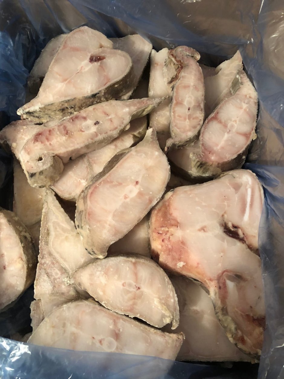 Зубатка полосатая