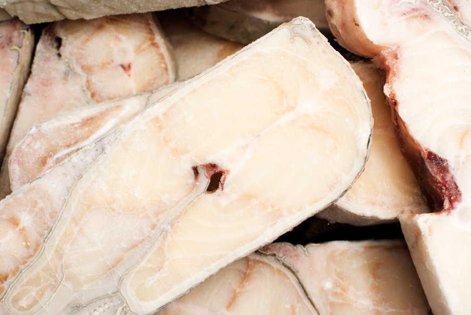 Угревидная зубатка