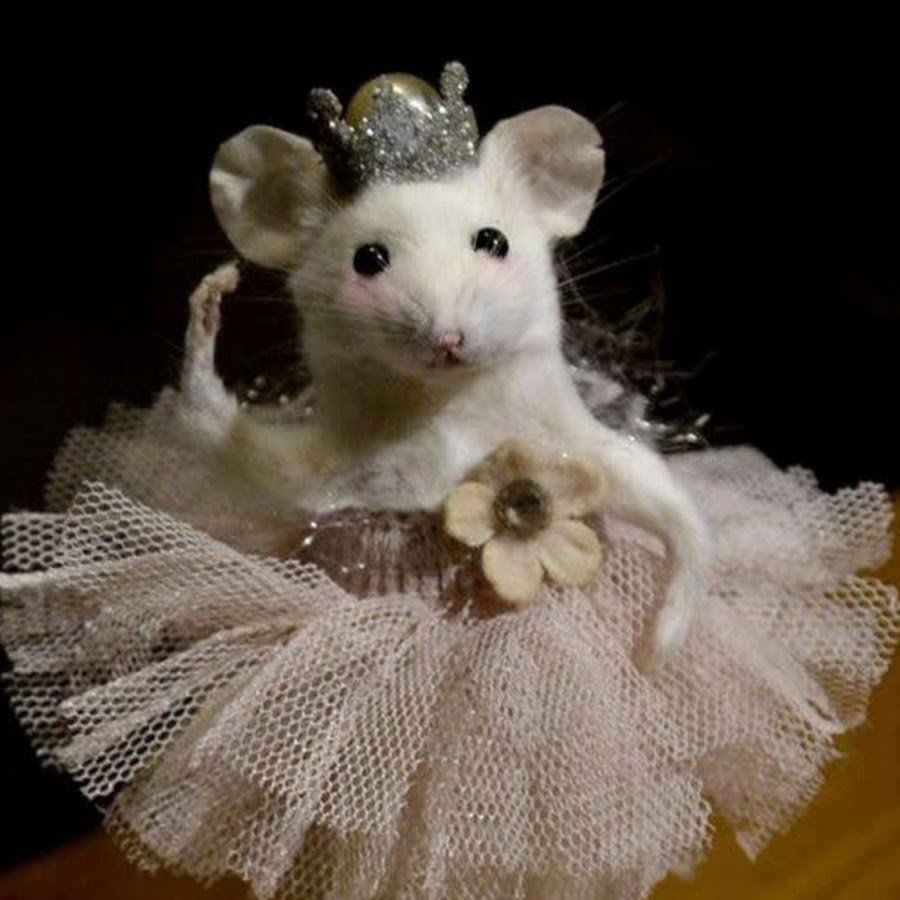 Покадровая зарисовка