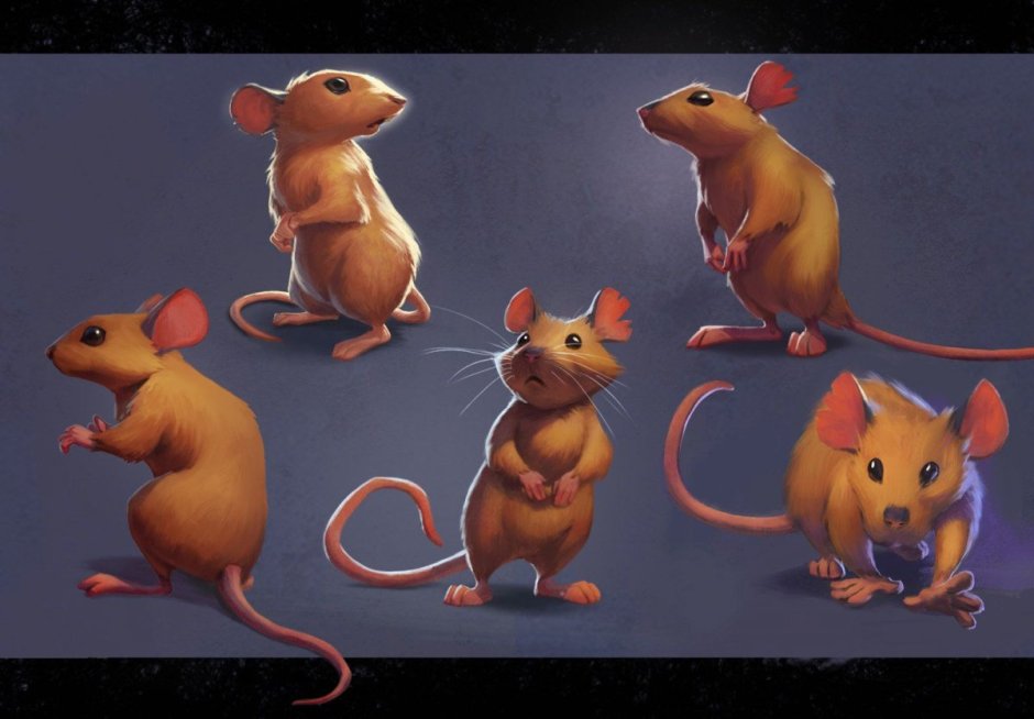 Смешные картины с крысами