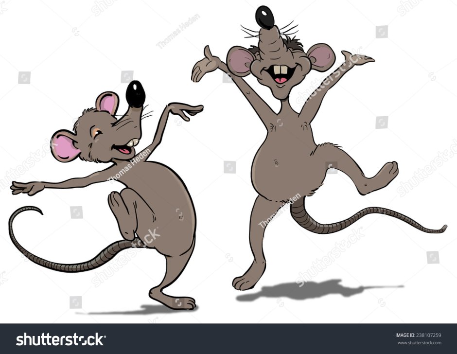 Костюм крысы