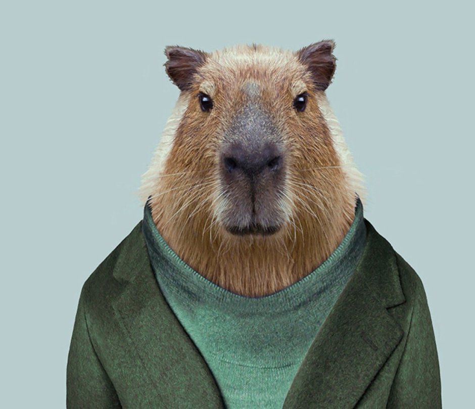Christmas Capybara
