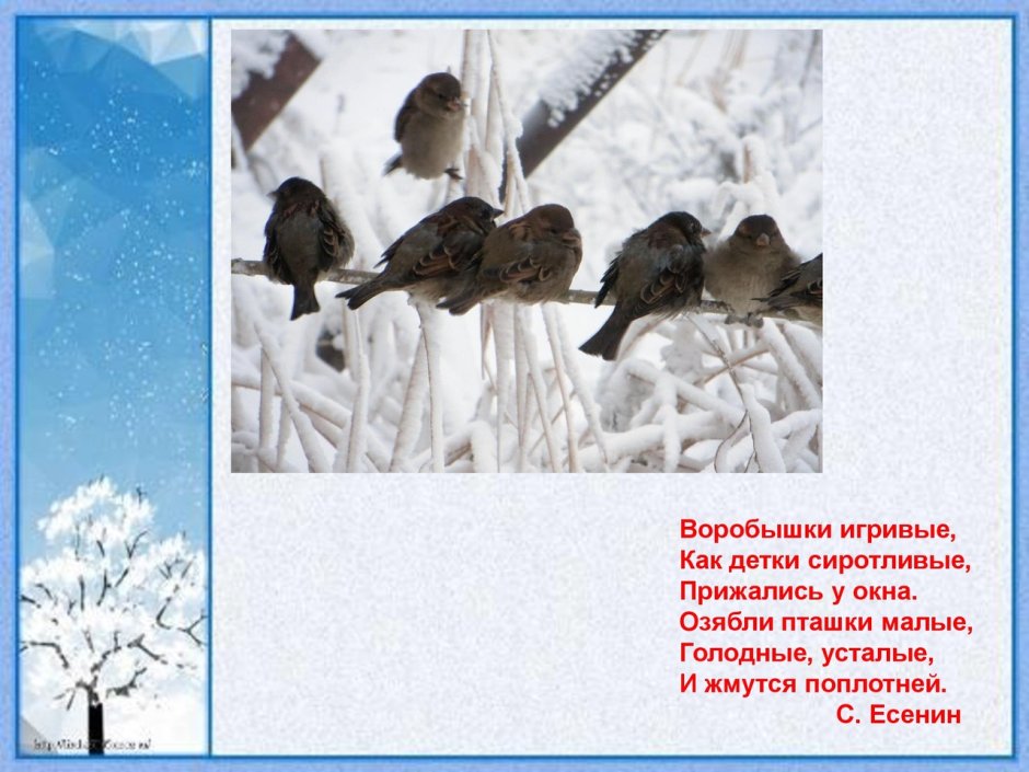 Воробышки игривые