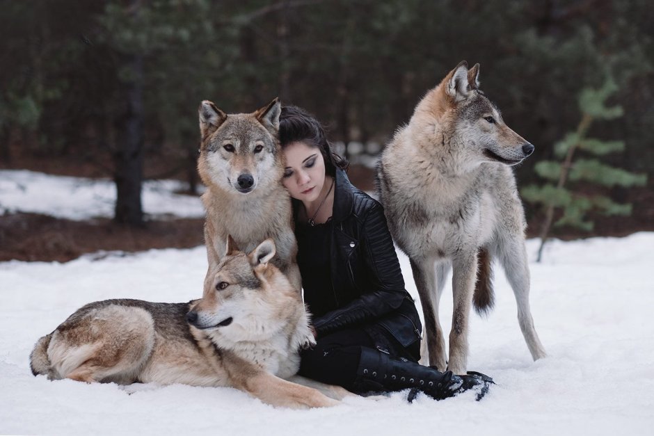 Волк и человек Дружба