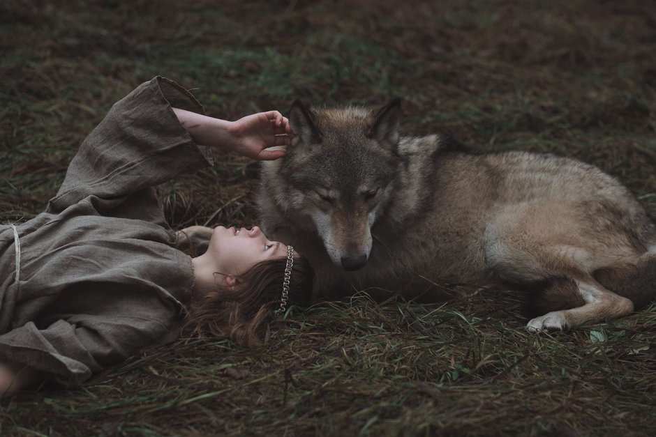 Эстетика Волков