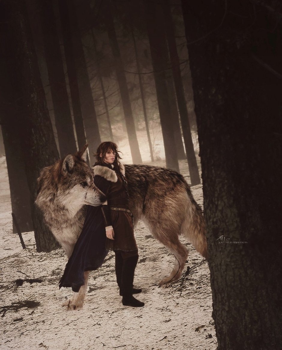 Среди Волков фильм, 2010 Жанр:драма