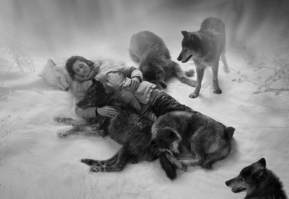 Волчья стая сериал 2022