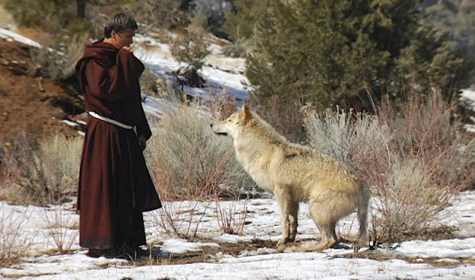 Одомашнивание волка