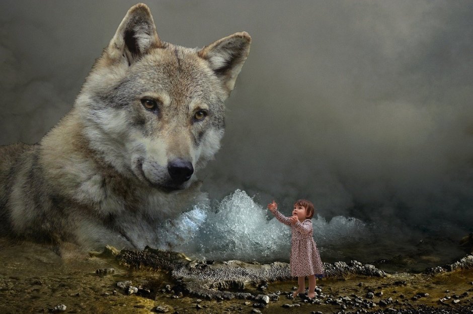 Женщина с собакой